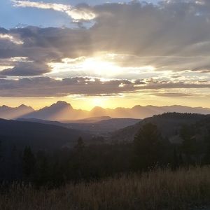 Meet your Posher, Tanzi